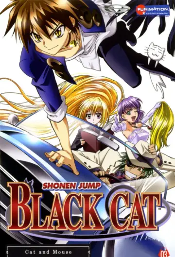 Poster for the TV series "Black Cat" #1453013