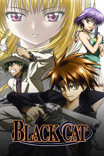 Poster for the TV series "Black Cat" #1453014
