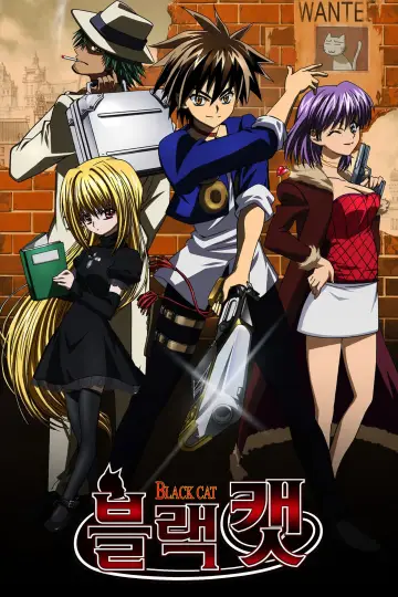 Poster for the TV series "Black Cat" #1453020