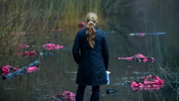 Backdrop к сериалу "The Killing" #1341951