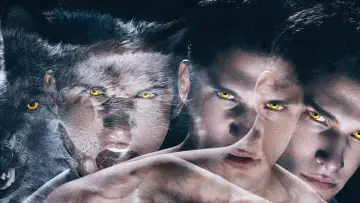 Backdrop for the TV series "Teen Wolf" #1270600