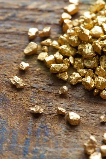 Poster for the TV series "Gold Rush" #1303702