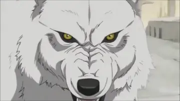 Backdrop for the TV series "Wolf
