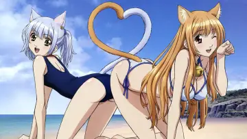 Backdrop for the TV series "Cat Planet Cuties" #1451523