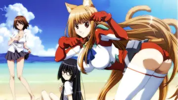 Backdrop for the TV series "Cat Planet Cuties" #1451527