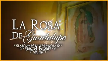 Backdrop for the TV series "La rosa de Guadalupe" #1315759