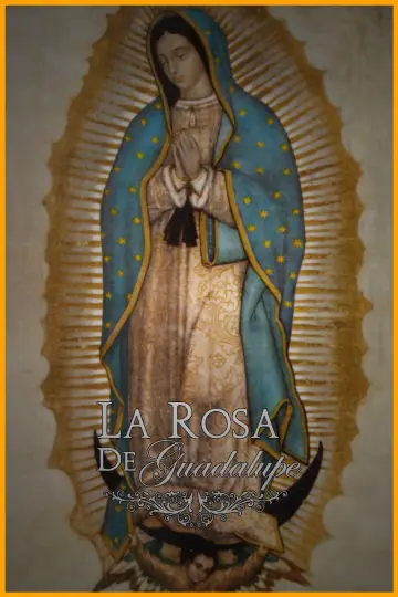 Poster for the TV series "La rosa de Guadalupe" #1315761