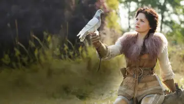 Backdrop for the TV series "Once Upon a Time" #1261627