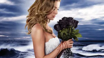 Backdrop for the TV series "Revenge" #1320240