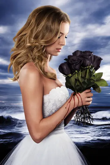 Poster for the TV series "Revenge" #1320282