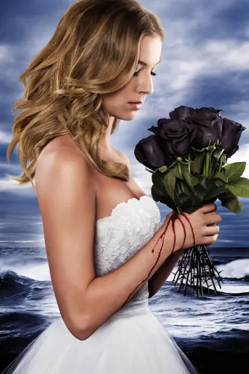 Poster for the TV series "Revenge" #1320285