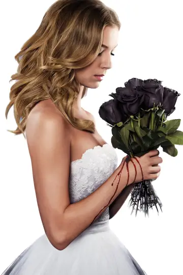 Poster for the TV series "Revenge" #1320295