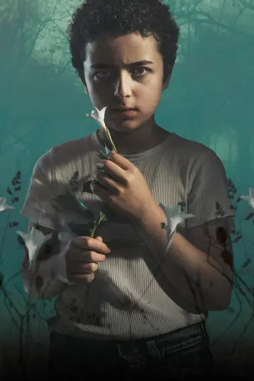 Poster for the TV series "The Sinner" #1315339