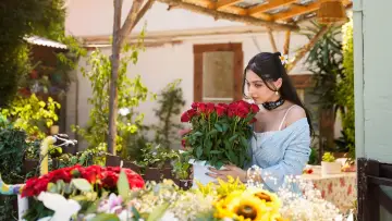Backdrop for the TV series "Sins and Roses" #1304250