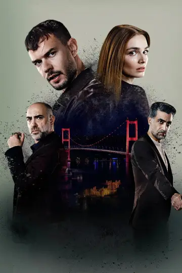 Poster for the TV series "The Graft" #1450638