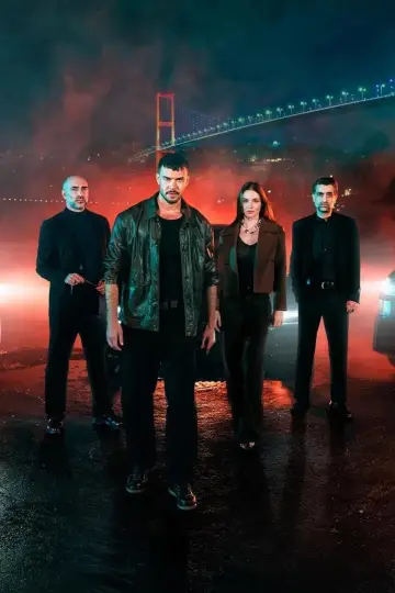 Poster for the TV series "The Graft" #1450640