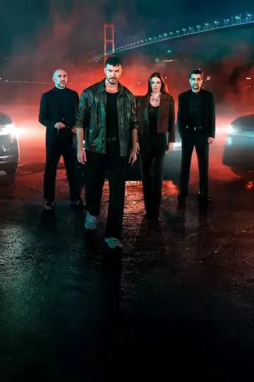 Poster for the TV series "The Graft" #1450641