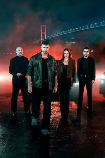 Poster for the TV series "The Graft" #1450642