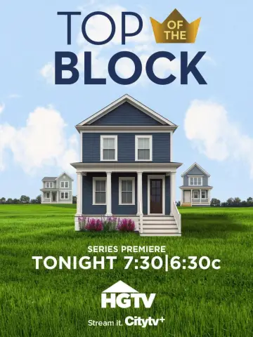 Poster for the TV series "Top Of The Block" #1481934