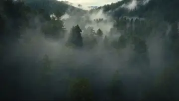 Backdrop for the TV series "The Dinosaurs" #1408394