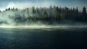 Backdrop for the TV series "The Dinosaurs" #1408396
