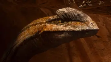 Backdrop for the TV series "The Dinosaurs" #1408408