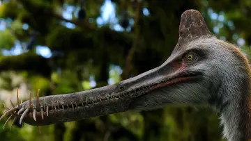 Backdrop for the TV series "The Dinosaurs" #1408419