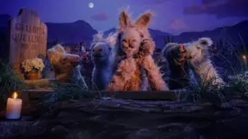 Backdrop for the TV series "La Llama que Llama: La Serie" #1556434