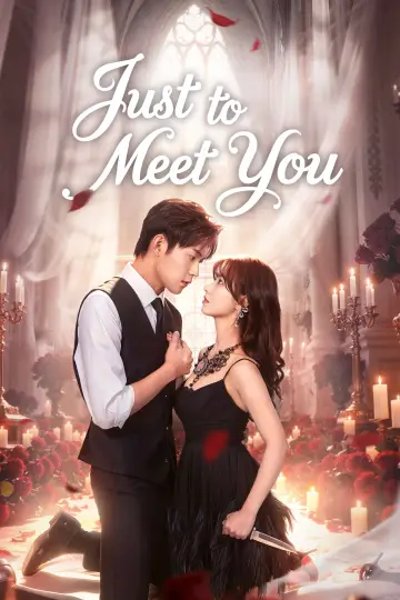 Poster for the TV series "Just to Meet You" #1498214