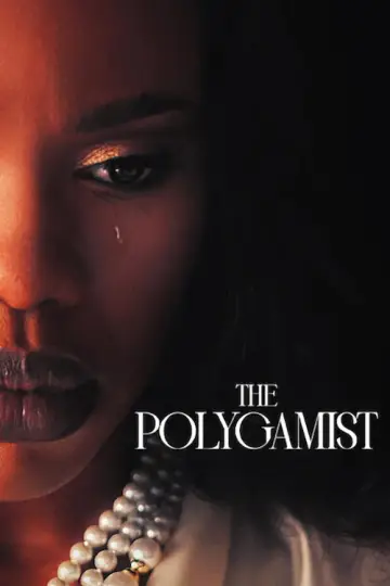 Poster к сериалу "The Polygamist" #1296111