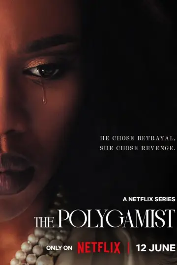 Poster к сериалу "The Polygamist" #1296113