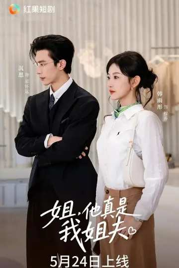Poster for the TV series "姐，他真是我姐夫" #1513211