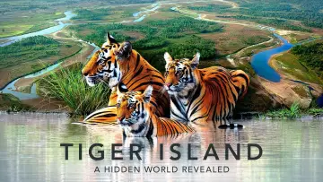 Backdrop for the TV series "Tiger Island" #1602699