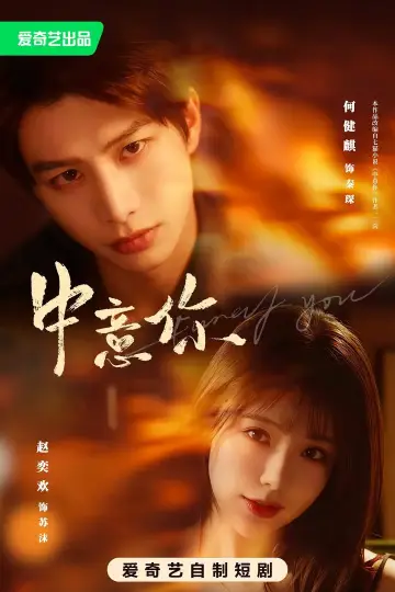 Poster for the TV series "中意你" #1513331