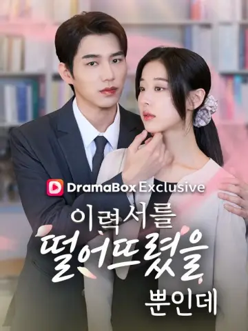 The CEO's Secret Lover poster