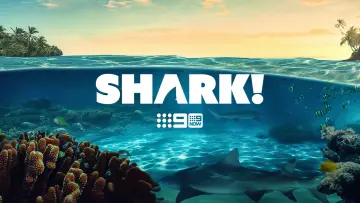 Backdrop for the TV series "Shark!" #1512404