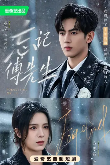 Poster for the TV series "忘记傅先生" #1607546