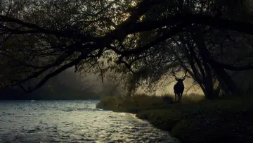 Backdrop for the TV series "Hannibal" #1306123