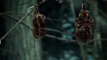 Backdrop for the TV series "Hannibal" #1306178