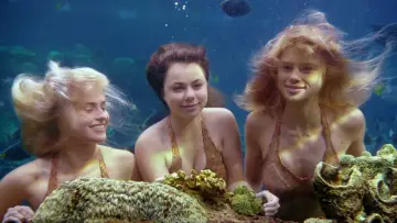 Backdrop for the TV series "Mako: Island of Secrets" #1405546