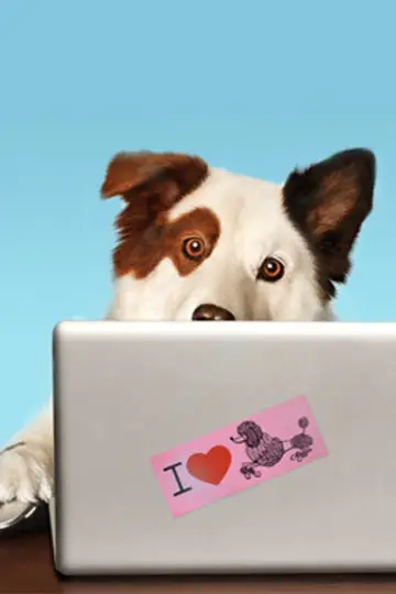 Poster for the TV series "Dog with a Blog" #1342824