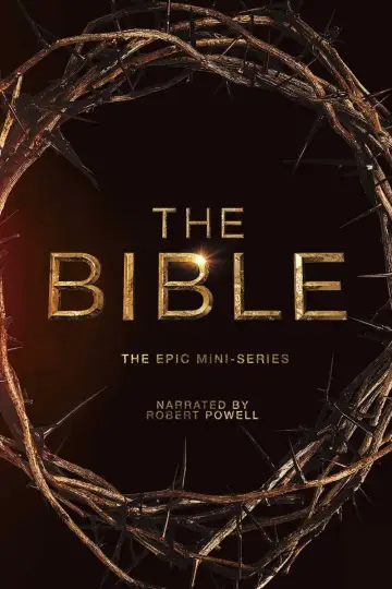 Poster for the TV series "The Bible" #1440151