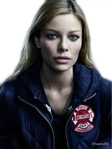 Poster for the TV series "Chicago Fire" #1244982
