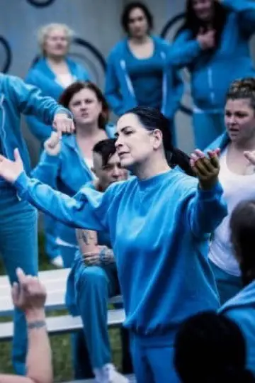 Poster к сериалу "Wentworth" #1354898