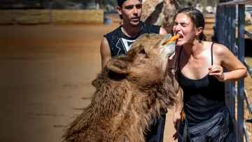 Backdrop к сериалу "The Amazing Race Australia" #1504966