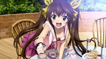 Backdrop for the TV series "Infinite Stratos" #1391426