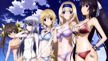 Backdrop for the TV series "Infinite Stratos" #1391430