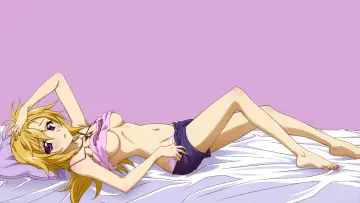 Backdrop for the TV series "Infinite Stratos" #1391431