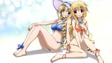 Backdrop for the TV series "Infinite Stratos" #1391432