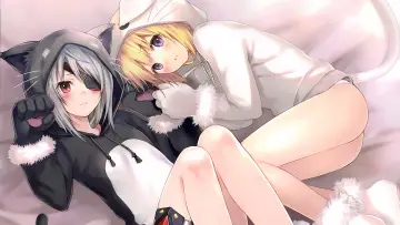 Backdrop for the TV series "Infinite Stratos" #1391434